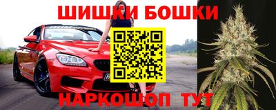 индика Нягань