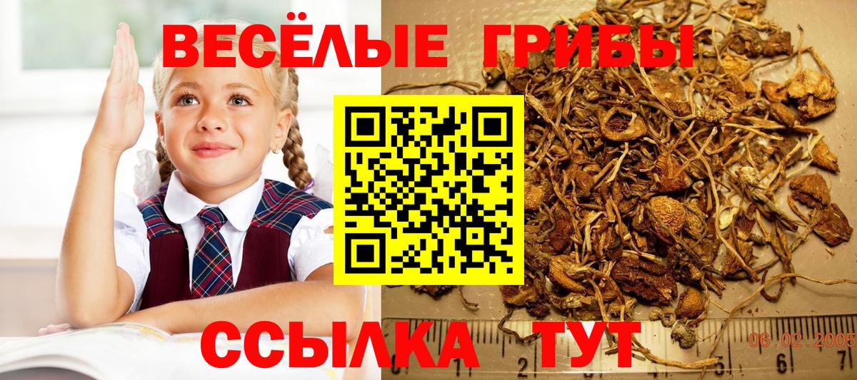 Феодосия  Псилоцибиновые грибы Cubensis  Псилоцибиновые грибы мицелий  Вход с VPN 